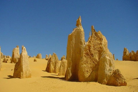 Half Day Pinnacles Sunset Tour - Book Restaurant 2