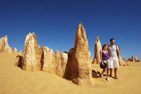 Half Day Pinnacles Sunset Tour - Book Restaurant 4