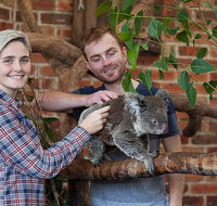 Private Tour Blue Mountains Day Trip from Sydney - Book Restaurant