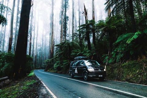 Small Group: Mornington Peninsula Hike And Hot Springs Day Tour From Melbourne - Book Restaurant 3