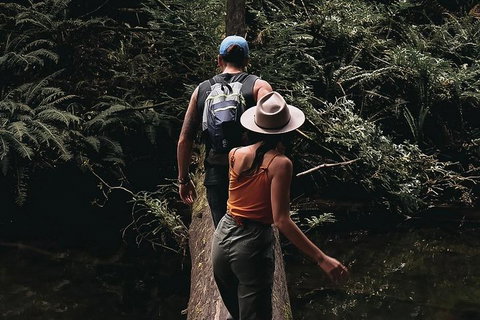 Small Group - 12 Apostles, Otways & Great Ocean Road Day Tour From Melbourne - Book Restaurant 5