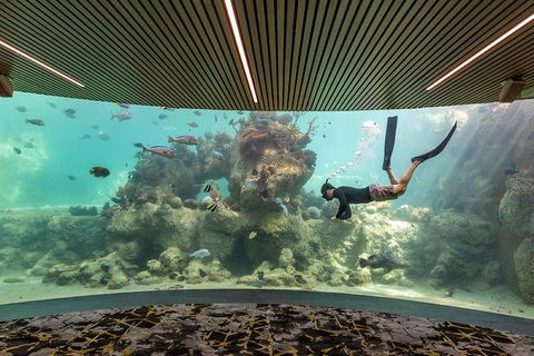 Whitehaven Beach And Daydream Island Cruise - Book Restaurant 4