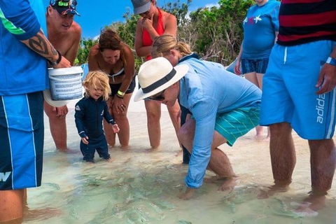 Whitehaven Beach And Hamilton Island Cruise - Book Restaurant 1