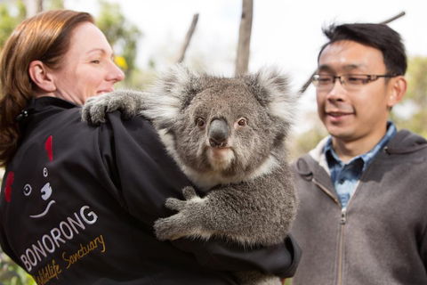 Bonorong Wildlife Park And Richmond Afternoon Tour From Hobart - Book Restaurant 0