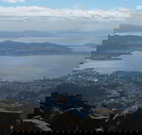 Mt Wellington Tour and MONA Admission - Book Restaurant