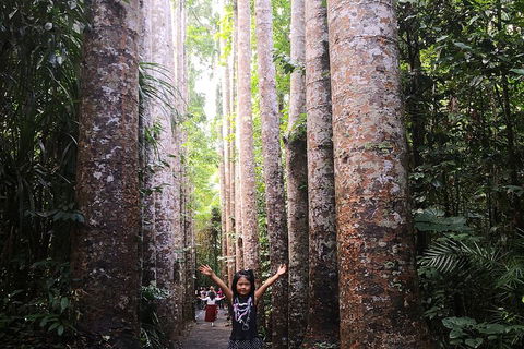 Private Tour To Paronella Park, Historic Village Herberton And Wild Life Wallaby - Book Restaurant 2