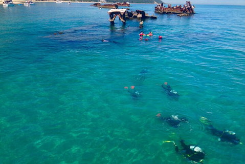 Adventure Moreton Island Scuba Dive Tour - Book Restaurant 0