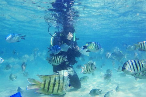 Adventure Moreton Island Scuba Dive Tour - Book Restaurant 1