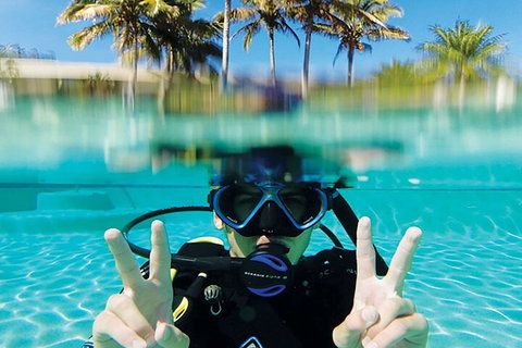 Adventure Moreton Island Scuba Dive Tour - Book Restaurant 2
