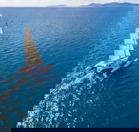 2-Night Whitsunday Islands Sailing Adventure on Trimaran Avatar - Book Restaurant