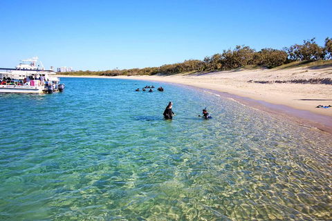 Wave Break Island Scuba Diving On The Gold Coast - Book Restaurant 4