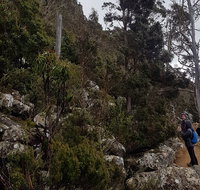 kunanyi / Mt. Wellington Guided Hiking Tour - Book Restaurant