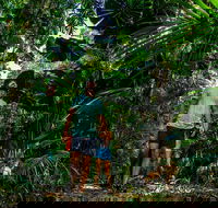 Full Day Daintree Rainforest and Mossman Gorge Tour - Book Restaurant