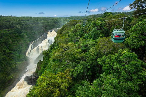 Cairns ATV Adventure Tour And Morning Skyrail - Book Restaurant 3