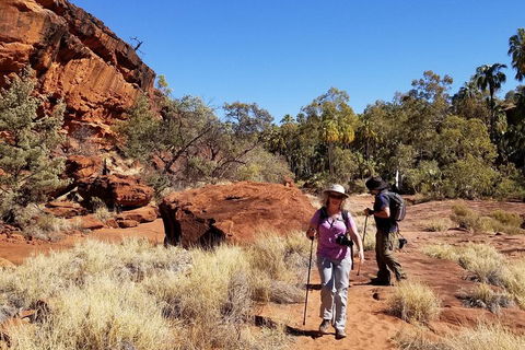 Palm Valley And Hermannsburg 1 Day 4WD Tour - Book Restaurant 1