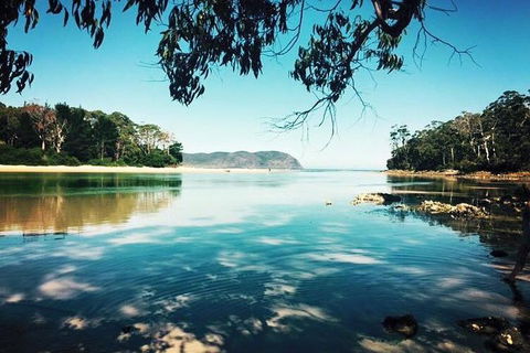 Full-Day Guided Bruny Island Tour From Hobart - Book Restaurant 1