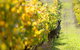 Margaret River 3 Day Escape - thumb 4