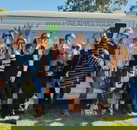 Full Day Mount Tamborine Winery Tour from Gold Coast - Book Restaurant