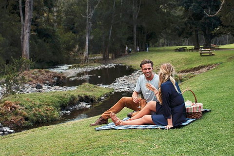 Mt Tamborine - Hinterland Wonders Self Guided - Book Restaurant 0