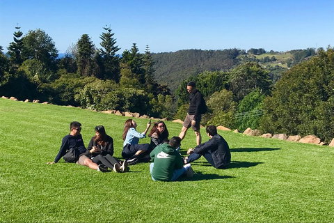 Mt Tamborine - Hinterland Wonders Self Guided - Book Restaurant 1