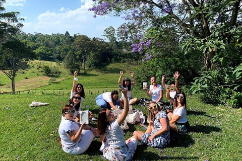 Mt Tamborine - Hinterland Wonders Self Guided - Book Restaurant 5