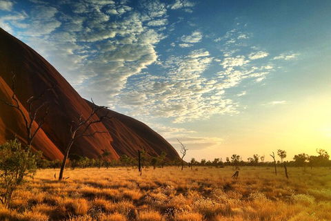 Highlights Of Uluru Including Sunrise And Breakfast - Book Restaurant 0