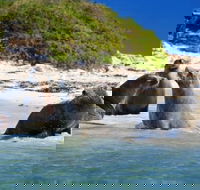 Dolphin Penguin and Sea Lion Cruise - Book Restaurant