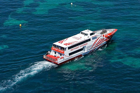 Discover Rottnest With Ferry & Bus Tour From Perth Or Fremantle - Book Restaurant 3