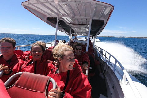 Adventure Rottnest Tour With Ferry & Adventure Cruise From Perth Or Fremantle - Book Restaurant 0