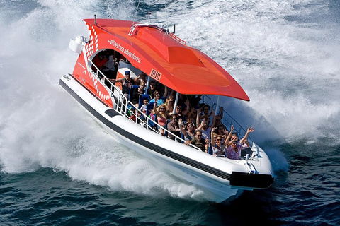 Adventure Rottnest Tour With Ferry & Adventure Cruise From Perth Or Fremantle - Book Restaurant 2