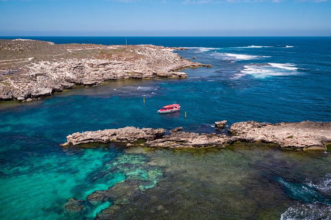 Adventure Rottnest Tour With Ferry & Adventure Cruise From Perth Or Fremantle - Book Restaurant 3