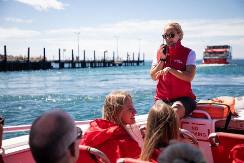Adventure Rottnest Tour With Ferry & Adventure Cruise From Perth Or Fremantle - Book Restaurant 4