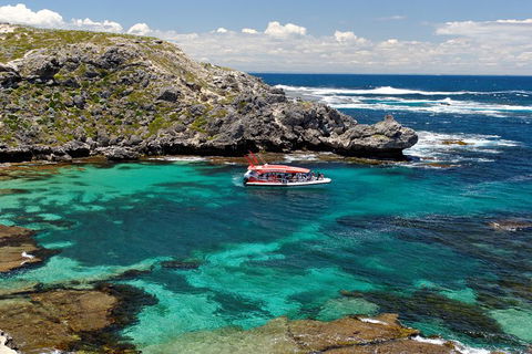 Adventure Rottnest Tour With Ferry & Adventure Cruise From Perth Or Fremantle - Book Restaurant 5