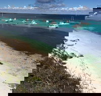 Experience Rottnest with Ferry  Bike Hire from Perth or Fremantle - Book Restaurant