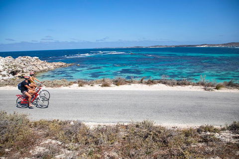 Experience Rottnest With Ferry & Bike Hire From Perth Or Fremantle - Book Restaurant 2