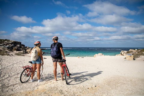 Experience Rottnest With Ferry & Bike Hire From Perth Or Fremantle - Book Restaurant 5