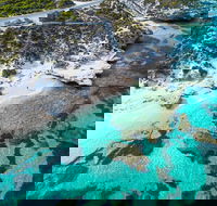 Rottnest Island Round-Trip Ferry from Perth or Fremantle - Book Restaurant
