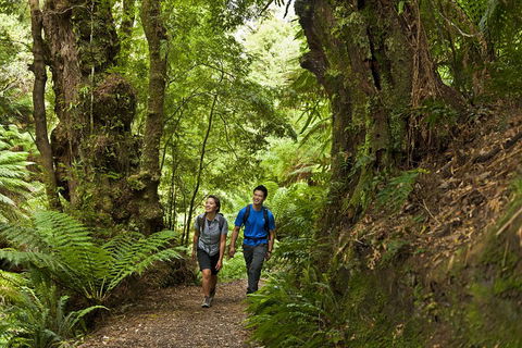 2-Day Great Ocean Road, Mornington Peninsula And Phillip Island Tour - Book Restaurant 5