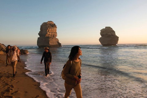 Full-Day Great Ocean Road And 12 Apostles Sunset Tour From Melbourne - Book Restaurant 4