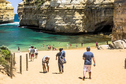 Small-Group Great Ocean Road Classic Day Tour From Melbourne - Book Restaurant 5