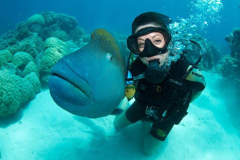 Great Barrier Reef Diving And Snorkeling Cruise From Cairns - Book Restaurant 2