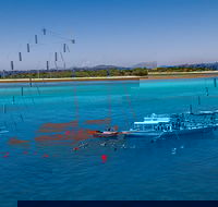 Ocean Free Green Island  Great Barrier Reef Snorkel Cruise Cairns 25 guests - Book Restaurant