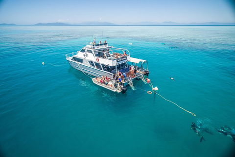 Ocean Freedom Great Barrier Reef Personal Luxury Snorkel & Dive Cruise, Cairns - Book Restaurant 0