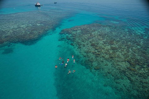 Ocean Freedom Great Barrier Reef Personal Luxury Snorkel & Dive Cruise, Cairns - Book Restaurant 3
