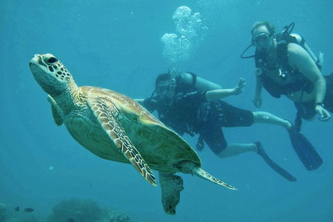 Ocean Freedom Great Barrier Reef Personal Luxury Snorkel & Dive Cruise, Cairns - Book Restaurant 4