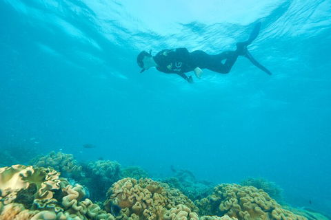 Ocean Freedom Great Barrier Reef Personal Luxury Snorkel & Dive Cruise, Cairns - Book Restaurant 5