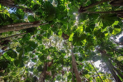 5 Day Australia Retreat: Queensland Daintree - Book Restaurant 2