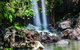 Full Day Small Group Luxury Tour To Tamborine Mountain - thumb 0