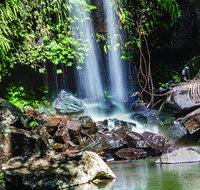 Full Day Small Group Luxury Tour to Tamborine Mountain - Book Restaurant