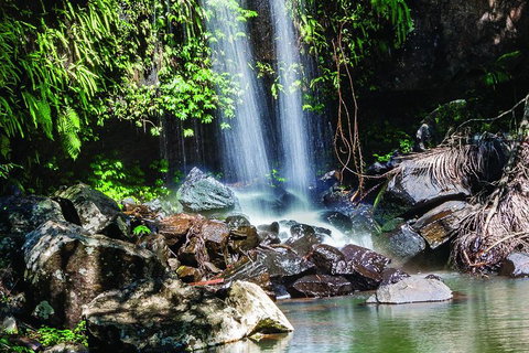 Full Day Small Group Luxury Tour To Tamborine Mountain - Book Restaurant 0